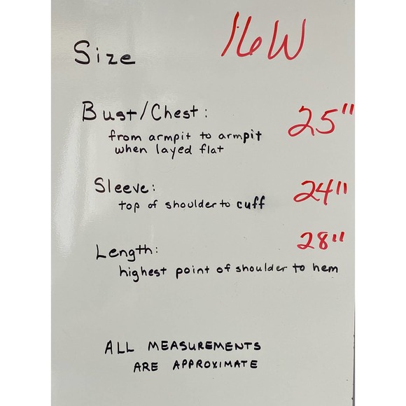 Whimsygoth Sheer Ruffled Collar Blouse Size 16W - Picture 9 of 9